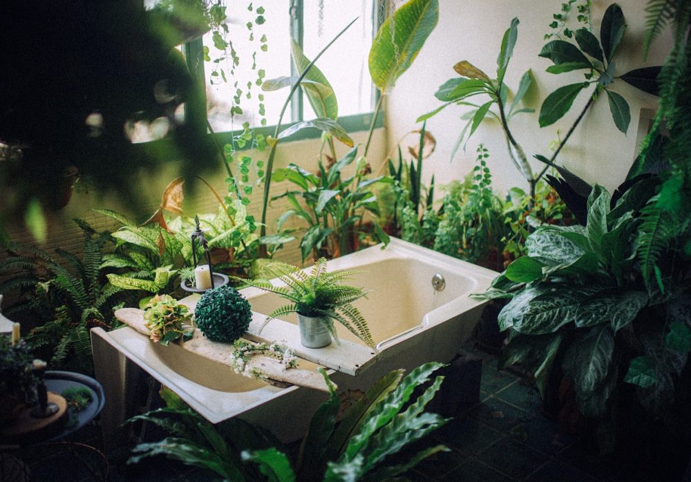 A bath with plants embodying the cozymaxxing lifestyle