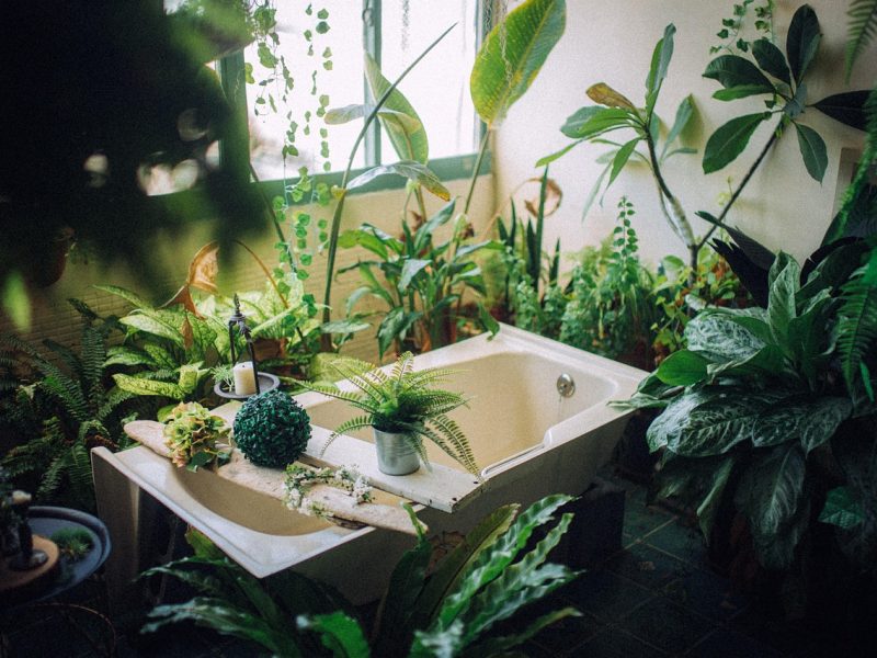A bath with plants embodying the cozymaxxing lifestyle
